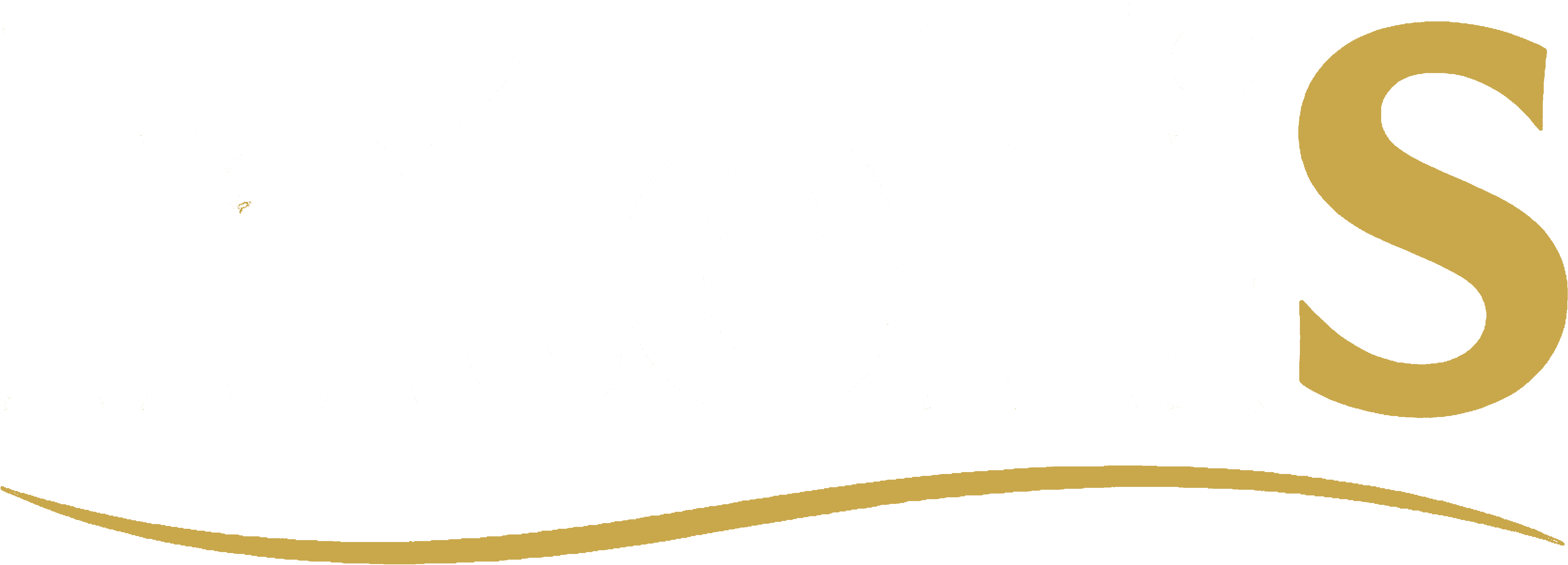 IntelliS Global