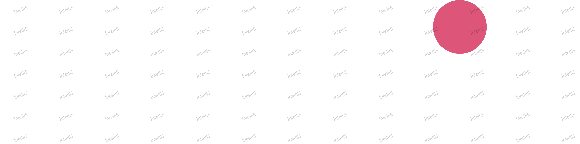 IntelliS Global